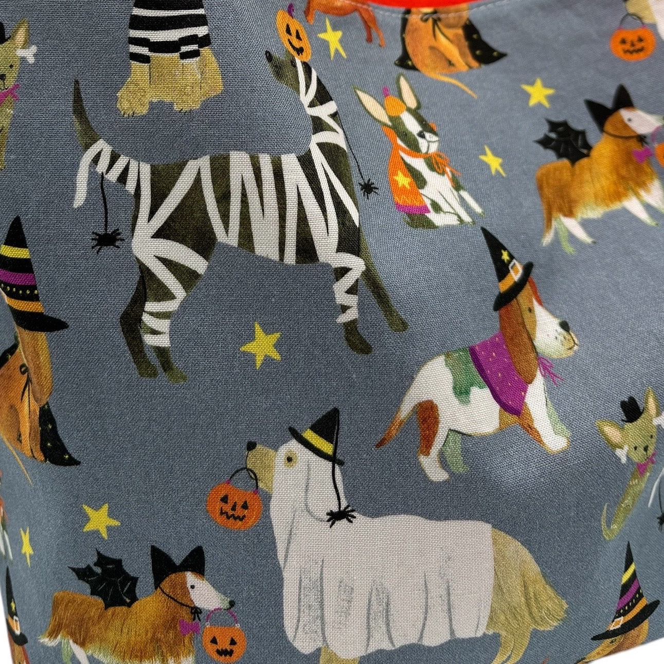 Children's Library Sized Reversible Tote Dogs in Halloween Costumes