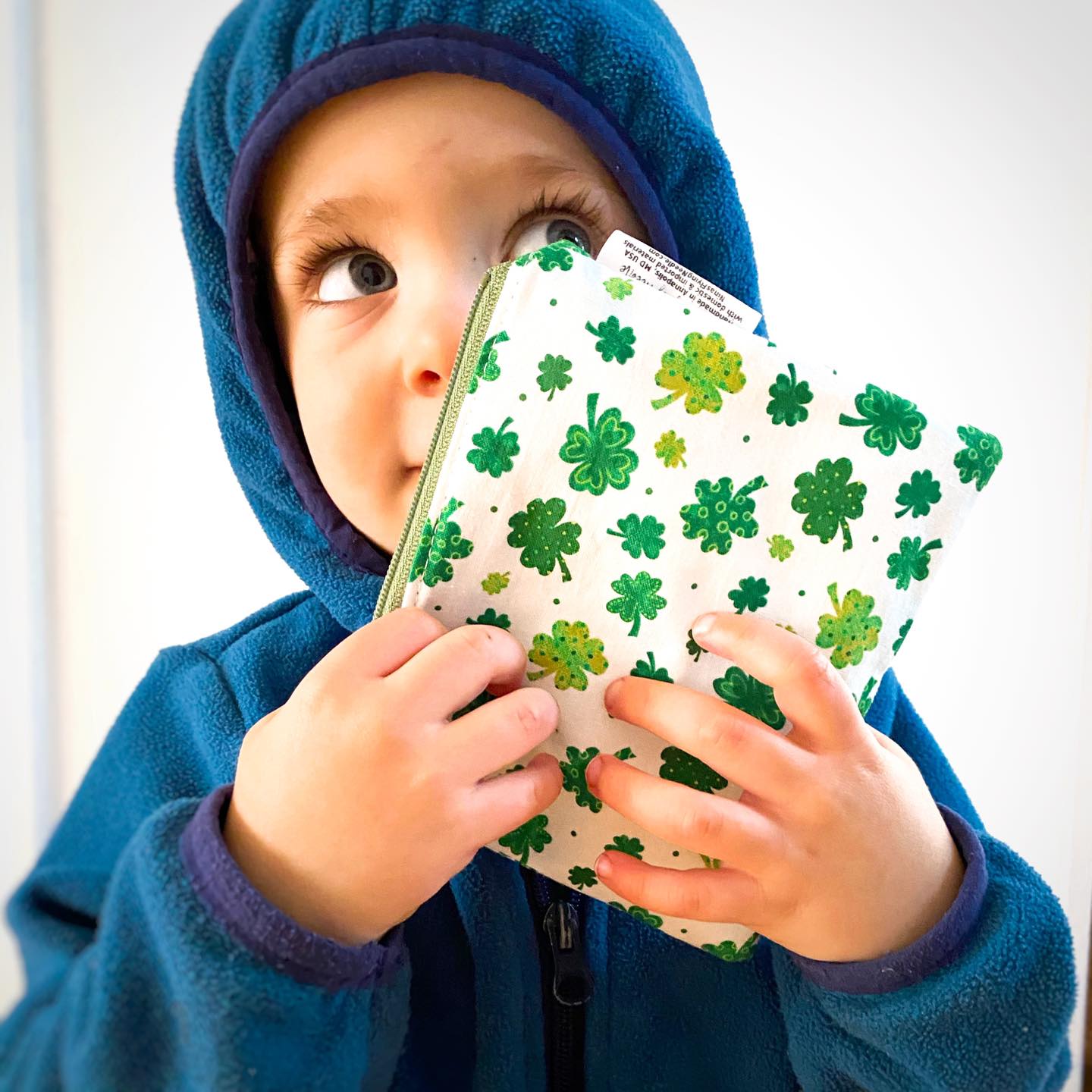 Toddler Sized Reusable Zippered Bag Firetrucks