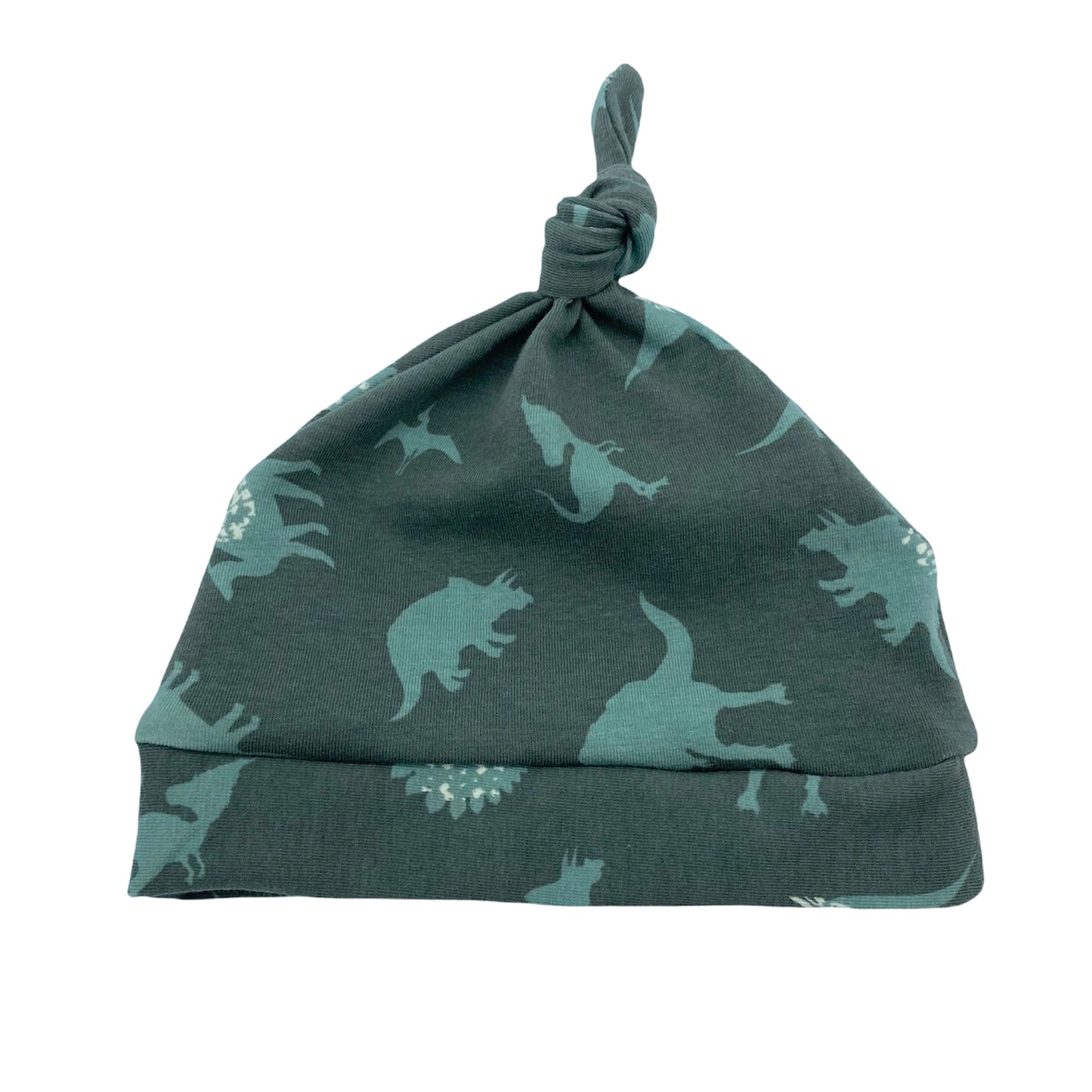 Knot Hat in Newborn: Dinosaurs